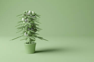 Dreidimensionales Rendering einer getopften Cannabispflanze vor einem grünen Hintergrund - JPSF00257