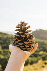 Young woman holding pine cone - MGRF00512