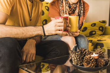 Ehepaar röstet Kaffeetasse, während sie zu Hause auf dem Sofa sitzen - MGRF00533