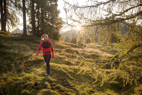 Female hiker walking in forest - HHF05787