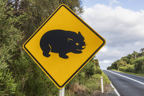Wombat-Kreuzungsschild am Rande einer asphaltierten Straße - FOF12244