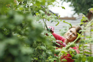 Lächelnde Frau schneidet Pflanze im Garten - AANF00143