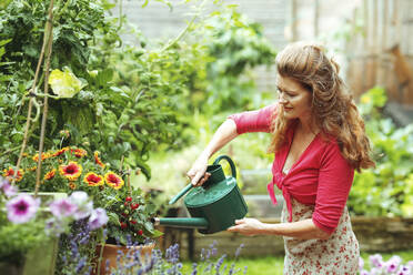 Ältere Frau bewässert Pflanzen im Garten - AANF00145