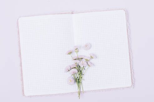 Fresh lavender flowers on open notebook - OYF00609