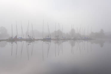 Nebel umhüllt Segelboote im Yachthafen Altmuhlsee - WIF04450