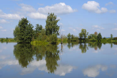 Bäume spiegeln sich im Altmühlsee - WIF04455