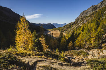 Landschaftlich reizvolle Berge in einem Nadelwald im Val Masino, Sondrio, Italien - MCVF00906