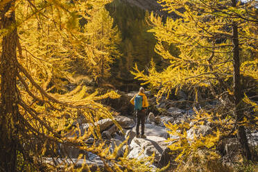 Männlicher Wanderer mit Rucksack auf einem Felsen im Wald an einem sonnigen Tag - MCVF00909