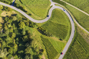 Luftaufnahme einer Landstraße, die sich zwischen grünen Sommerweinbergen hindurchschlängelt - WDF06631