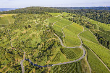 Luftaufnahme einer Landstraße, die sich zwischen grünen Sommerweinbergen hindurchschlängelt - WDF06633