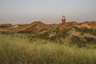 Grasbewachsene Steilküste mit dem Leuchtturm Rotes Kliff im Hintergrund - KEBF02037