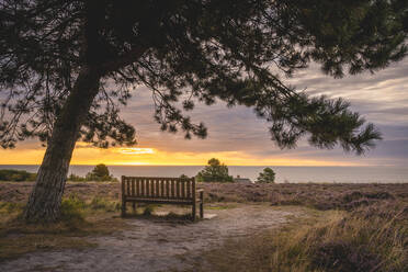 Leere Bank mit Blick auf das Wattenmeer im Naturschutzgebiet Braderuper Heide bei Sonnenuntergang - KEBF02047