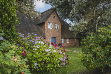 Deutschland, Schleswig-Holstein, Sylt, Blumen blühen vor rustikalem Backsteinhaus - KEBF02048