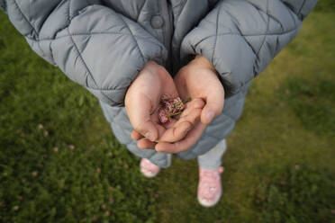 Girl with hands cupped holding flowers in hand - SSGF00070