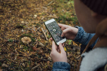 Junge fotografiert mit Smartphone im Wald - VPIF05136