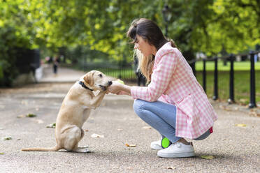 Playful dog biting woman's hand in park - WPEF05345