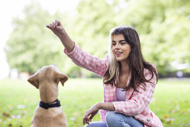 Beautiful young woman with hand raised looking at dog in public park - WPEF05355