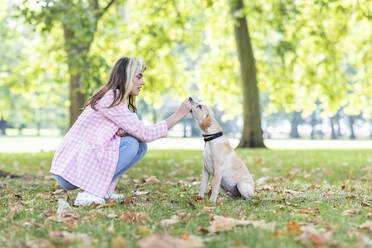 Junge Frau mit Haushund in einem öffentlichen Park - WPEF05356