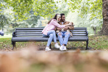 Lächelnde junge Frau, die den Hund ihres Freundes auf einer Bank streichelt - WPEF05359