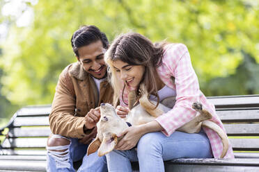 Lächelnde junge Frau, die mit dem Hund ihres Freundes auf einer Bank spielt - WPEF05362