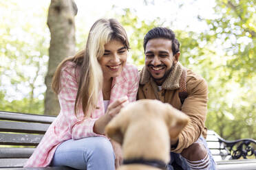 Glückliches junges Paar, das einen Hund in einem öffentlichen Park betrachtet - WPEF05367