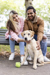 Fröhliches junges Paar streichelt Hund in öffentlichem Park - WPEF05369