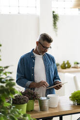 Man with houseplant using digital tablet at home - GIOF13878