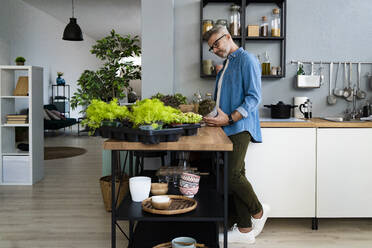 Mature man checking potted plant at kitchen counter - GIOF13884