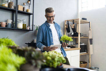 Smiling man with potted plant using digital tablet in kitchen - GIOF13885