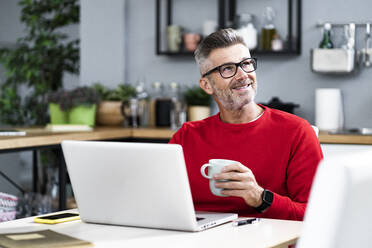 Lächelnder Mann mit Laptop bei einem Kaffee zu Hause - GIOF13912