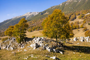 Herbsttal im Monte Baldo-Gebirge - GIOF13922