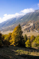 Herbsttal im Monte Baldo-Gebirge - GIOF13923