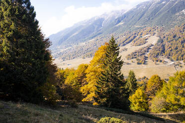 Herbsttal im Monte Baldo-Gebirge - GIOF13924