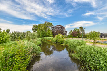 Malerische Landschaft der ruhigen Fluss fließt zwischen grünen Büschen und Bäumen unter bewölktem blauen Himmel in der Natur in der Tageszeit - ADSF31203