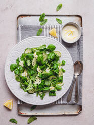 Top view of delicious green salad with fresh cucumber pieces and spinach leaves with black sesame seeds against lemon sauce - ADSF31206