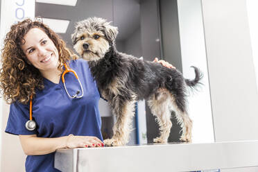 Positiv gelockte Tierärztin mit Stethoskop streichelt flauschigen Yorkshire Terrier in der Tierklinik - ADSF31221