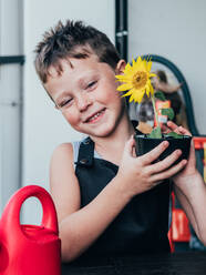 Fröhlicher kleiner Junge in Schürze demonstriert Topf mit kleiner blühender Sonnenblume in hellem Zimmer am Tag - ADSF31268