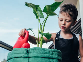 Aufrichtiges Kind in Gartenschürze mit Gießkanne und blühender Pflanze beim Wegschauen gegen Alocasia auf Balkon - ADSF31270