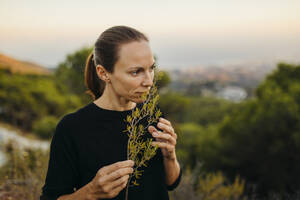 Frau riecht an einem Rosmarinzweig bei Sonnenuntergang - DMGF00563