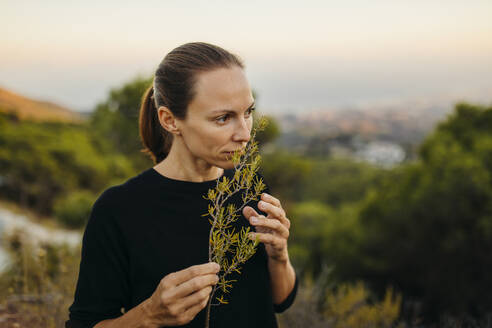 Woman smelling rosemary plant branch at sunset - DMGF00563