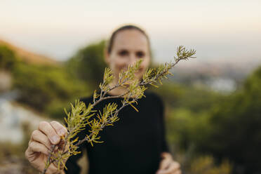 Woman showing rosemary plant - DMGF00564