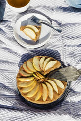 Frischer Apfelkuchen auf der Picknickdecke - EVGF03913