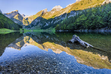 Mountains reflecting in clear water of Seealpsee lake at dawn - STSF03051