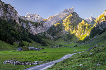 Green valley in Alpstein range at dawn - STSF03054