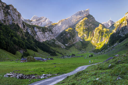 Grünes Tal im Alpsteingebirge in der Morgendämmerung - STSF03054