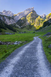 Leere Schotterstraße in der Morgendämmerung durch ein Tal im Alpsteingebirge - STSF03055