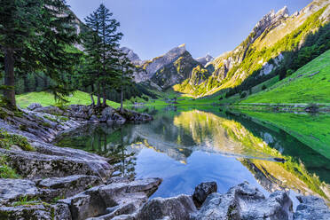 Scenic shore of Seealpsee lake at dawn - STSF03056