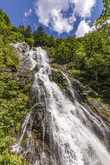 Tiefblick auf den Todtnauer Wasserfall im Sommer - WDF06648