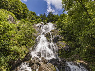 Tiefblick auf den Todtnauer Wasserfall im Sommer - WDF06649