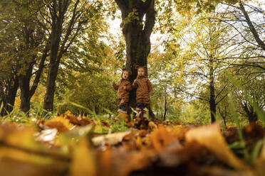 Zwillinge stehen unter einem Baum im herbstlichen Park - SSGF00112